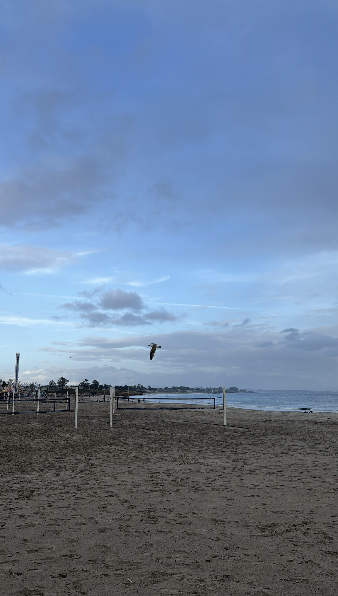 San Francisco photo 2